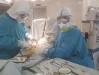 15 февраля поздравления принимают медицинские операционные сестры.
