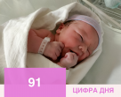 Творцы и интеллектуалы