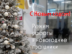 Порядок работы с 29 декабря 2024 года по 8 января 2025 года