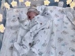 В первом месяце года на свет появилось 496 малышей!