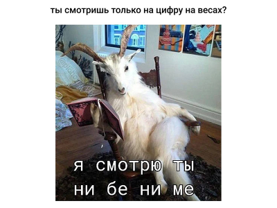 Весы показывают не всё: что скрывается за одной цифрой? 