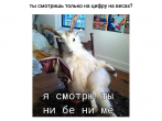 Весы показывают не всё: что скрывается за одной цифрой? 