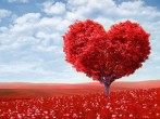 29 сентября - Всемирный день сердца –  День открытых дверей