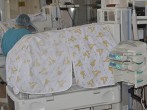 Двойня – двойная радость в семье!