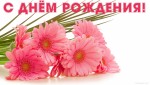 Поздравляем! Сегодня отмечает день рождения В.А. Голонзко.