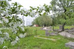 Зелёных насаждений в парке клиники станет больше. 