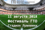Фестиваль ГТО