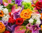 ПОЗДРАВЛЯЕМ! Сегодня отмечает свой день рождения О.А. Байкова
