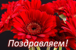 ПОЗДРАВЛЯЕМ! Сегодня отмечает свой день рождения З. У. Дзгоева 