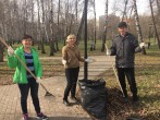 Результаты субботника: чистый парк, чистая больница, хорошее настроение