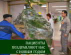 КОМУ - ЕЛКИ, А КОМУ ЛИАНЫ!