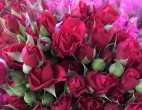 ПОЗДРАВЛЯЕМ! 30 декабря отмечает день рождения Мунькова Елена Леонидовна