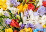 ПОЗДРАВЛЯЕМ! 13 января отмечает день рождения Шарова Екатерина Николаевна.