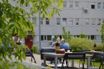 МЕСТО ВСТРЕЧИ - ЛЕТНИЙ ФИЛИАЛ КАФЕ «ЗВЕЗДА».