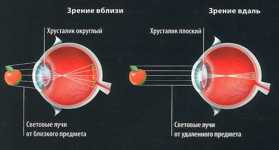 Лишенный воображения: 